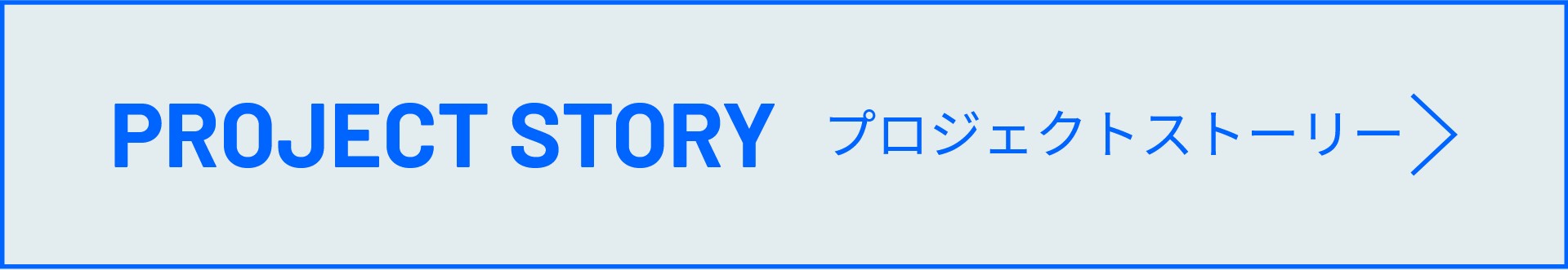 Project Story